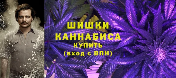 стаф Куйбышев